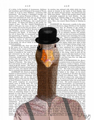 Picture of CLOCKWORK ORANGE GOOSE