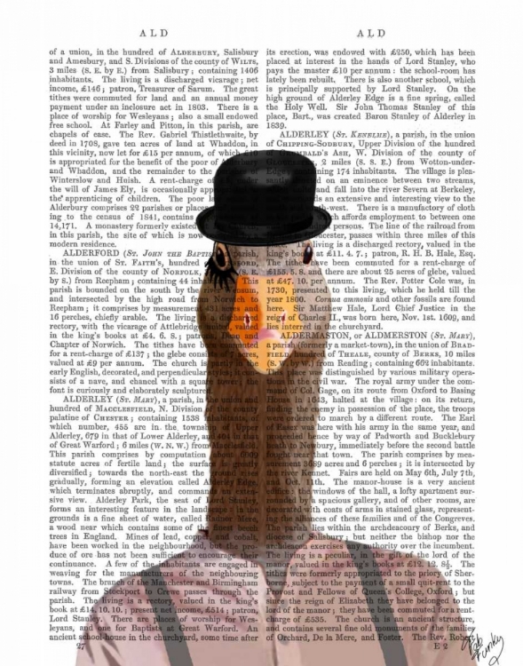 Picture of CLOCKWORK ORANGE GOOSE