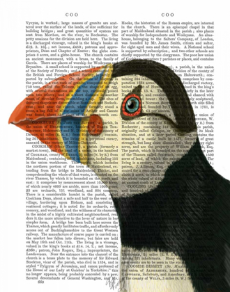 Picture of PUFFIN PORTRAIT
