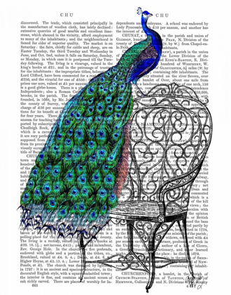Picture of PEACOCK ON CHAIR
