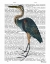 Picture of BLUE HERON 3