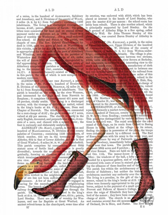 Picture of FLAMINGO IN PINK BOOTS