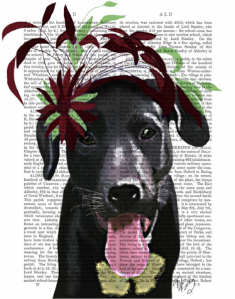 Picture of BLACK LABRADOR WITH GREEN FASCINATOR