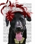 Picture of BLACK LABRADOR WITH RED FASCINATOR