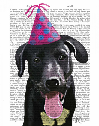 Picture of BLACK LABRADOR WITH PARTY HAT