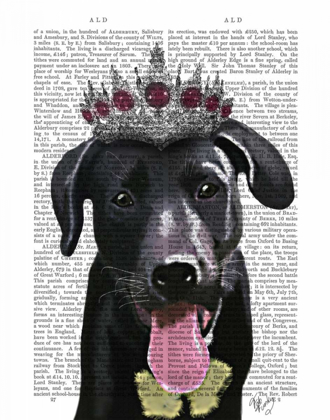 Picture of BLACK LABRADOR WITH TIARA