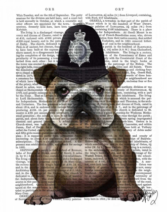 Picture of BULLDOG POLICEMAN