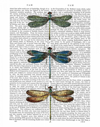 Picture of DRAGONFLIES PRINT 1
