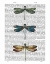 Picture of DRAGONFLIES PRINT 1