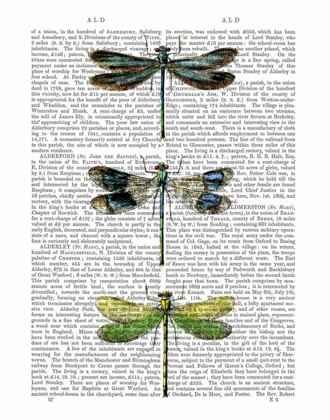 Picture of DRAGONFLIES PRINT 2