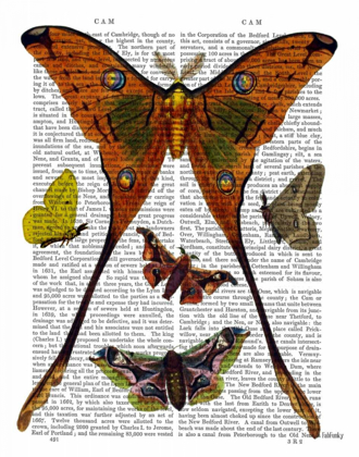 Picture of MOTH PLATE 1