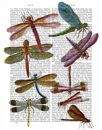 Picture of DRAGONFLY PRINT 3