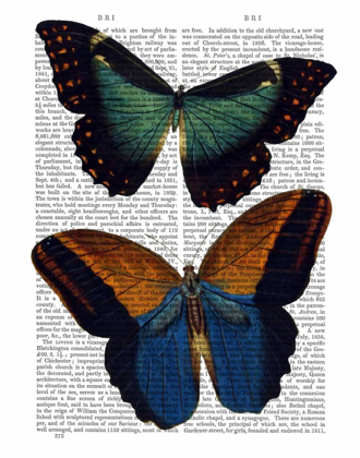 Picture of BUTTERFLIES 4