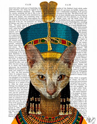 Picture of EGYPTIAN QUEEN CAT