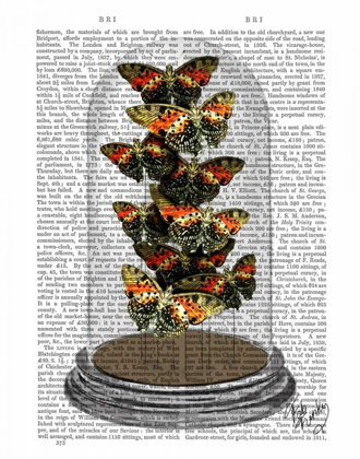 Picture of MULTICOLOURED BUTTERFLIES IN BELL JAR