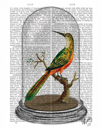 Picture of BIRD IN BELL JAR