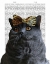 Picture of GREY CAT WITH LEOPARD BOW