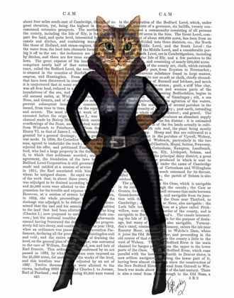 Picture of CATWOMAN