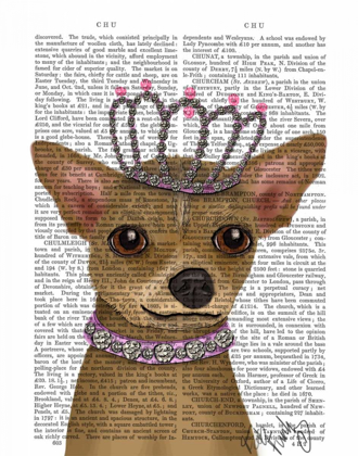 Picture of CHIHUAHUA AND TIARA