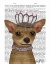 Picture of CHIHUAHUA AND TIARA