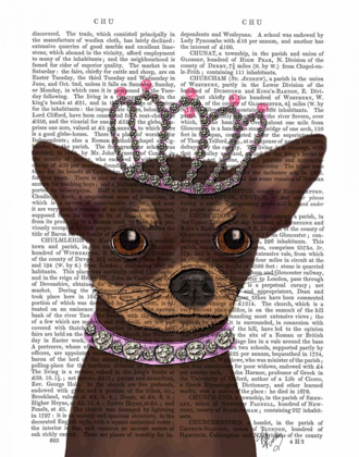 Picture of BROWN CHIHUAHUA AND TIARA