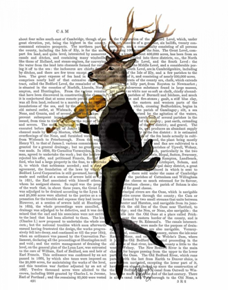 Picture of DANCING DEER WITH VIOLIN