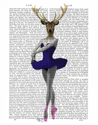 Picture of BALLET DEER IN BLUE