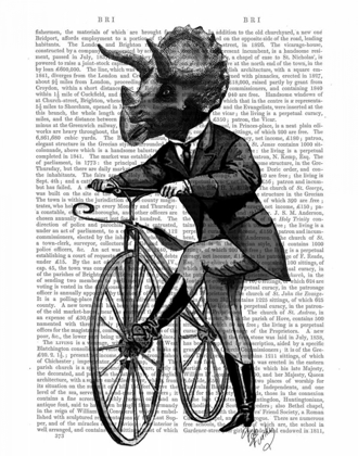 Picture of TRICERATOPS MAN ON BIKE DINOSAUR