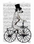 Picture of DALMATIAN ON BICYCLE