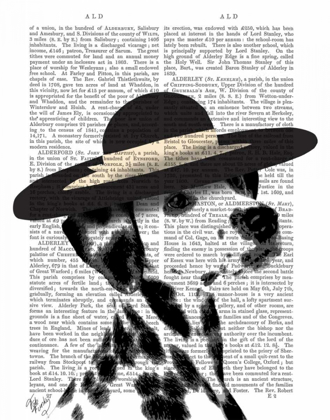 Picture of DALMATIAN AND BRIMMED BLACK HAT