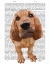 Picture of BLOODHOUND PUPPY