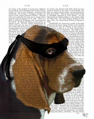 Picture of BASSET HOUND NINJA