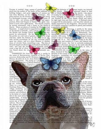 Picture of WHITE FRENCH BULLDOG AND BUTTERFLIES