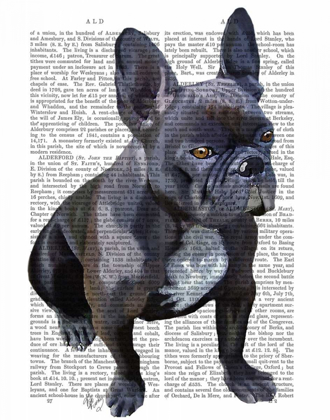 Picture of FRENCH BULLDOG PLAIN