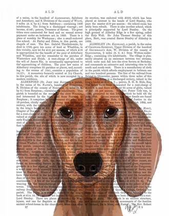 Picture of DACHSHUND ILLUSTRATION PLAIN