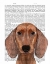 Picture of DACHSHUND ILLUSTRATION PLAIN