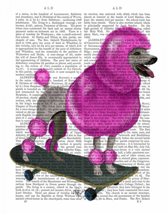 Picture of PINK POODLE AND SKATEBOARD