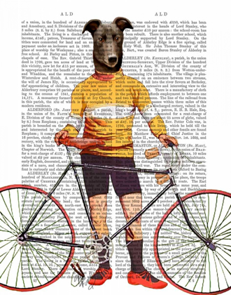 Picture of GREYHOUND CYCLIST