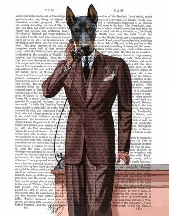 Picture of DOBERMAN ON PHONE