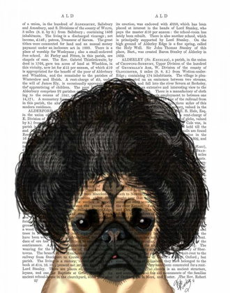 Picture of PUG IN A BAD WIG