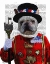 Picture of BULLDOG BEEFEATER