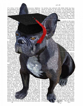 Picture of GRADUATION FRENCH BULLDOG