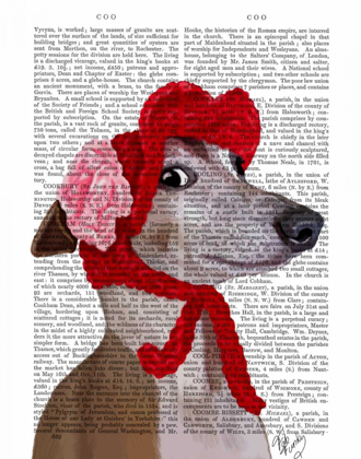 Picture of GREYHOUND WITH RED WOOLLY HAT