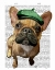 Picture of BROWN FRENCH BULLDOG WITH GREEN HAT
