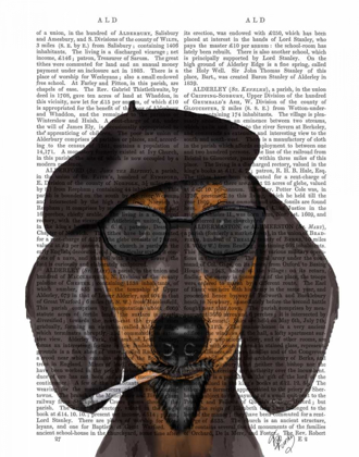 Picture of HIPSTER DACHSHUND BLACK AND TAN