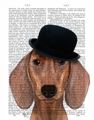 Picture of DACHSHUND WITH BLACK BOWLER HAT