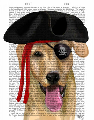 Picture of YELLOW LABRADOR PIRATE