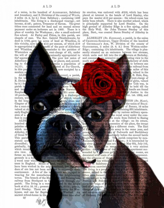 Picture of BOSTON TERRIER WITH ROSE ON HEAD