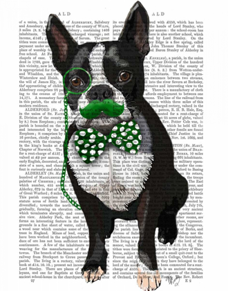 Picture of BOSTON TERRIER WITH GREEN MOUSTACHE AND SPOTTY GREEN BOW TIE