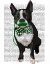 Picture of BOSTON TERRIER WITH GREEN MOUSTACHE AND SPOTTY GREEN BOW TIE